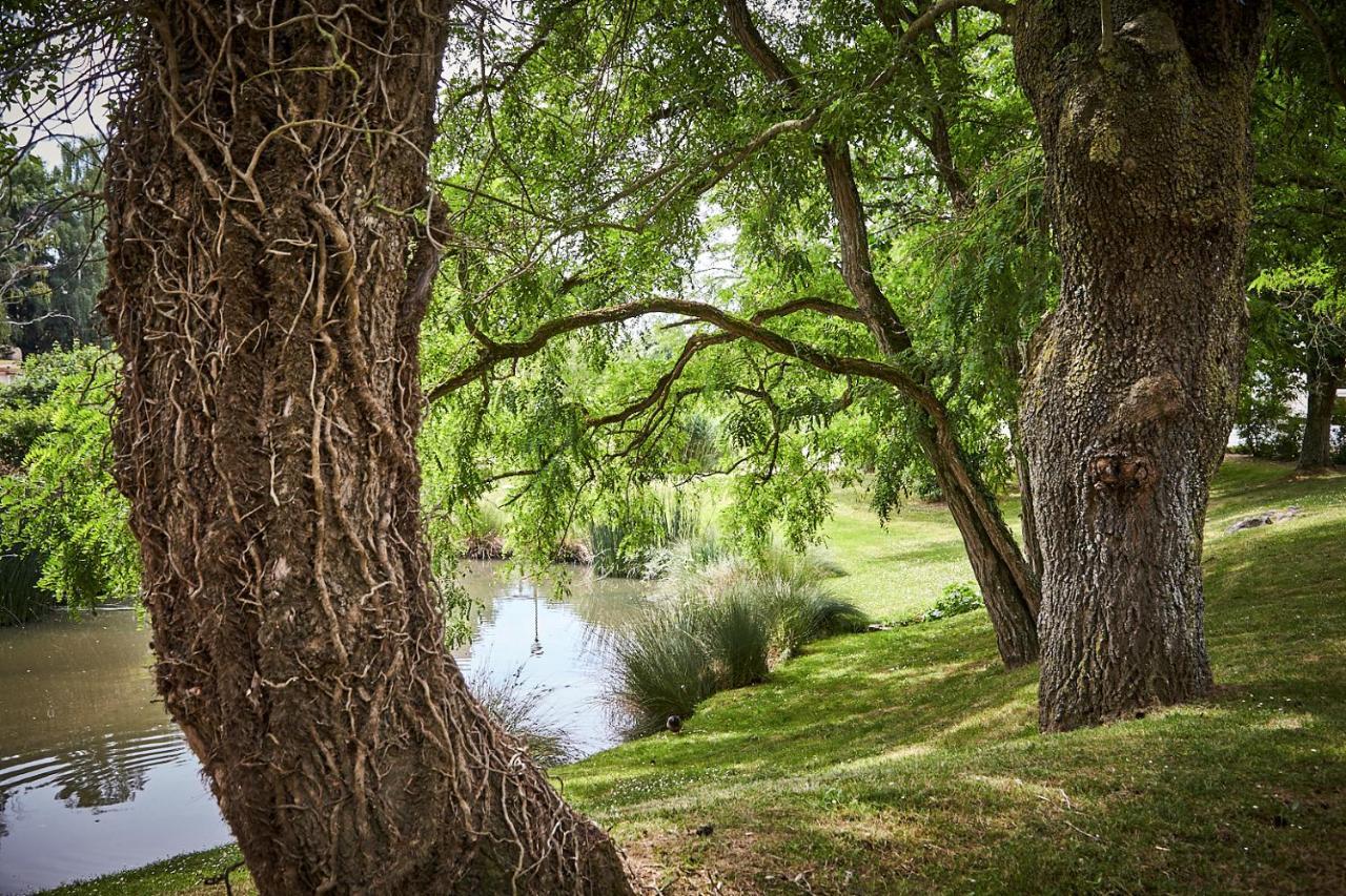 Les Jardins De L'Anjou Hotel Montjean-sur-Loire Buitenkant foto