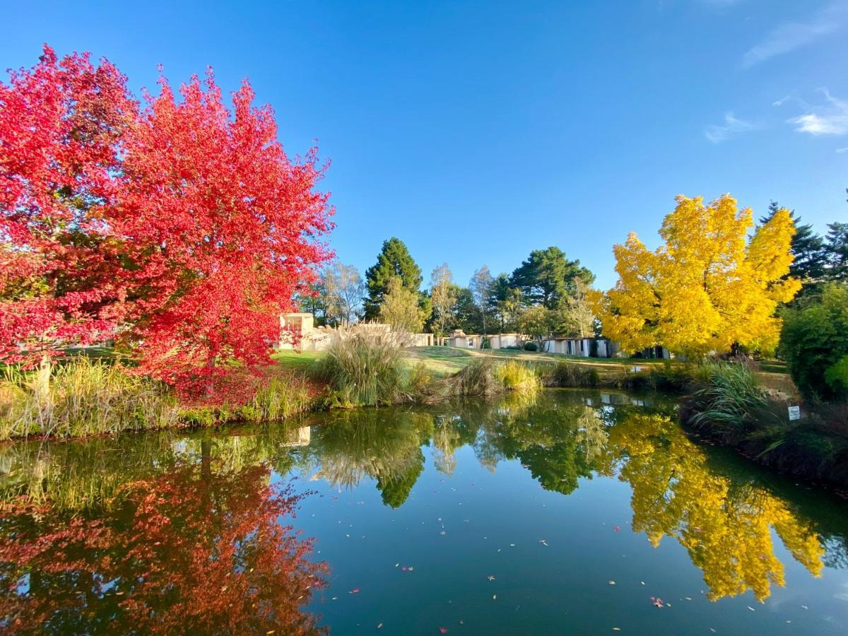 Les Jardins De L'Anjou Hotel Montjean-sur-Loire Buitenkant foto